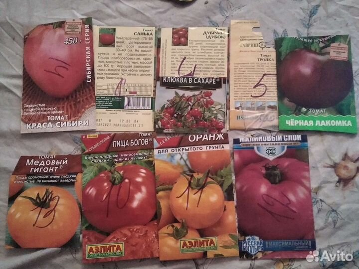 Рассада на весну