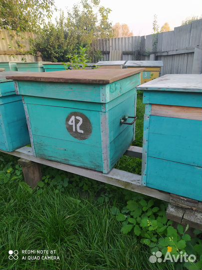 Ульи с пчелами