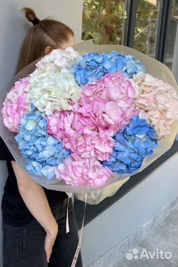 Гортензии Голландия Цветы и Букеты с Доставкой