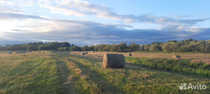 Сено в рулонах