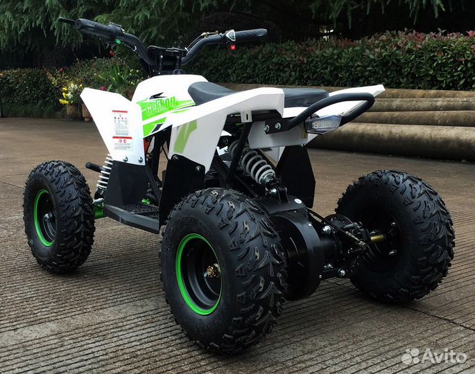 Детский квадроцикл Motax gekkon 1300W