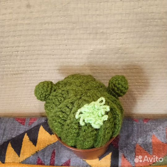 Вязанный кактус