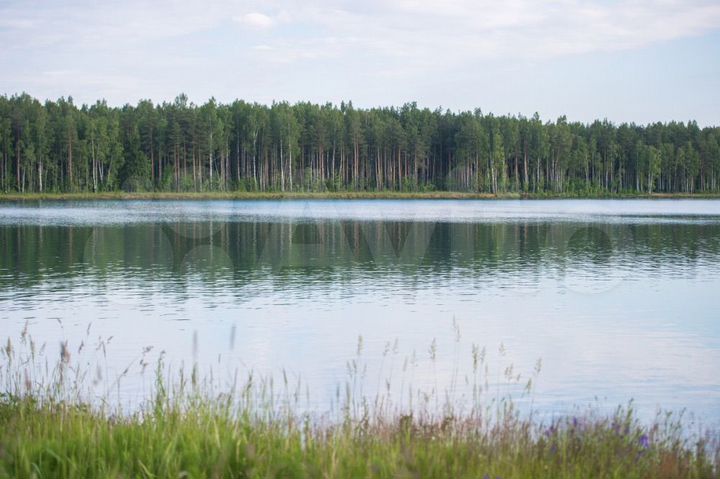 Участок 14 сот. (СНТ, ДНП)