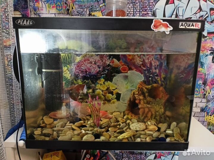 Аквариум