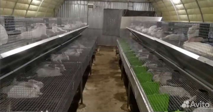 Клетка для кролика