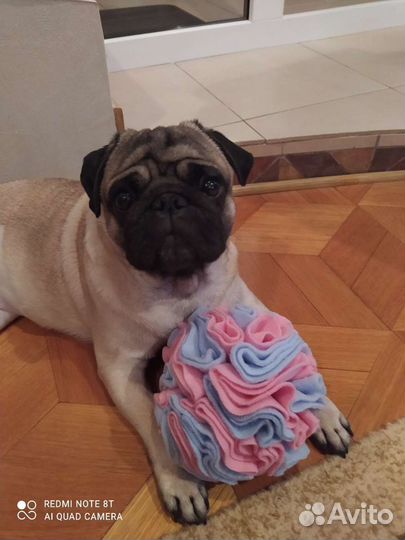 Нюхательный мяч, нюхательный коврик для собак