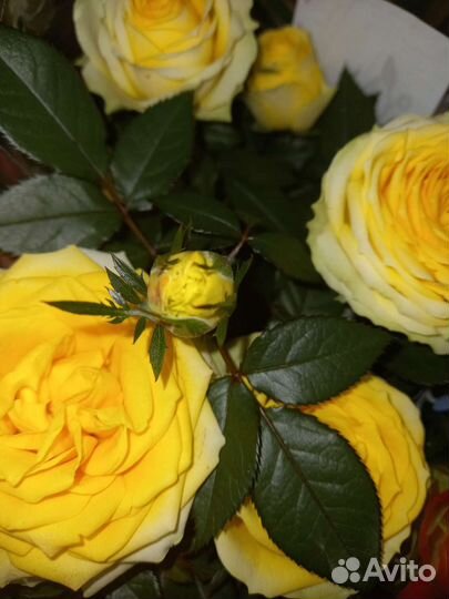 Куртка для девочки