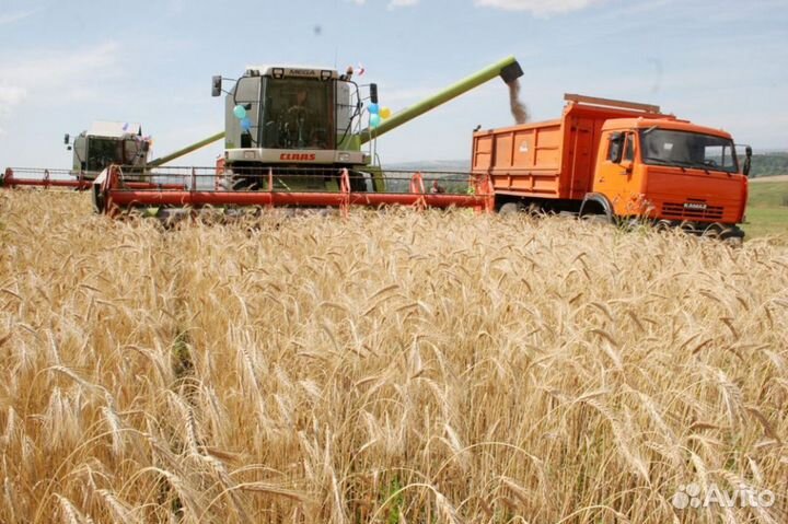 Водитель камаз категории се в фермерское хозяйство