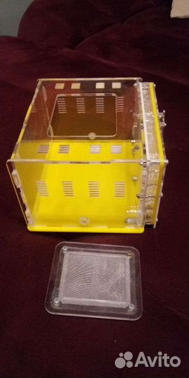 Муравьиная ферма