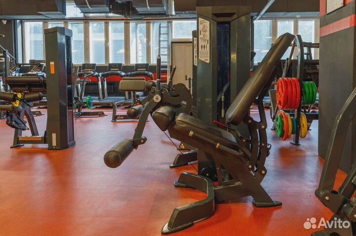 XR107 разгибатель бедра X-line R