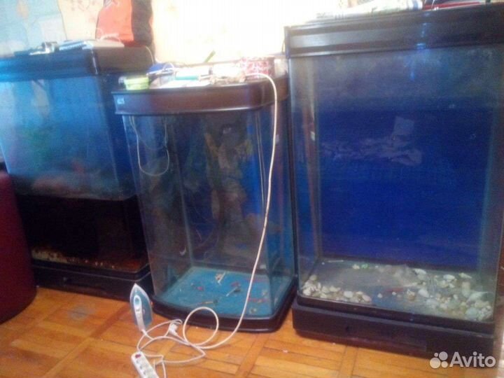 Аквариум эксклюзивный, панорамный