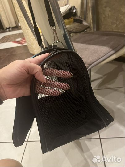 Переноска для кошек новая