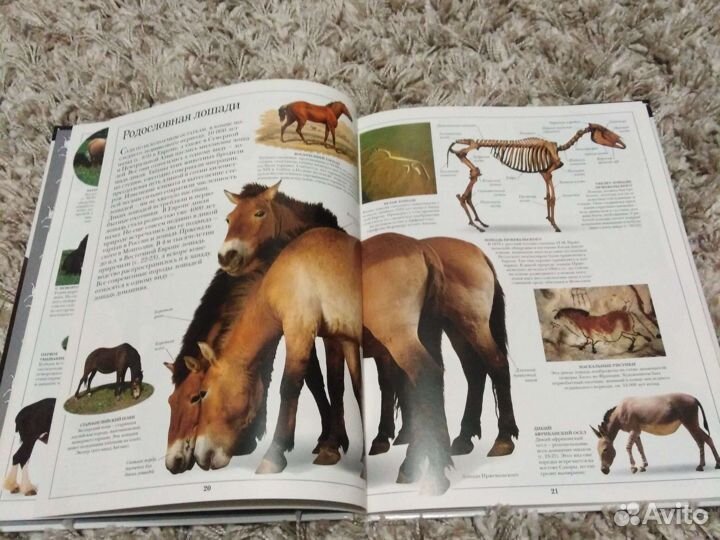 Детские энциклопедии