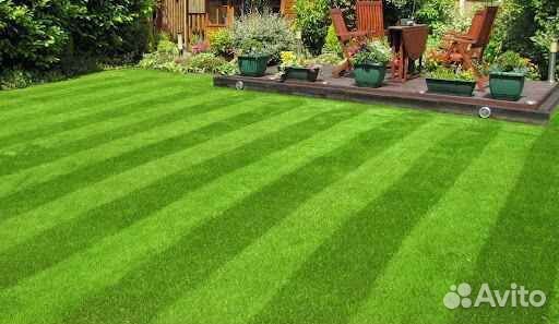 Рулонный газон /продажа/укладка