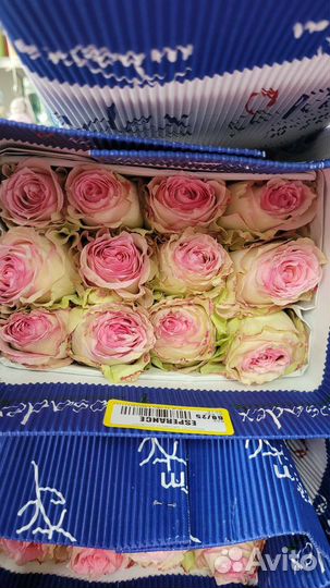 Розы оптом