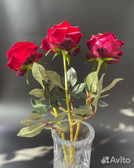 Розы из японской глины (1:1 как живые цветы)