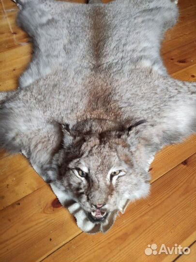 Ковер из шкуры рыси имитация