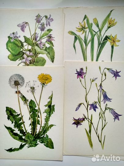 Книги о лекарственных травах