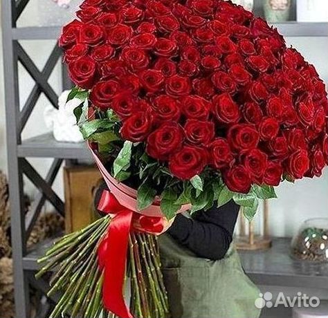 Высокие розы Гигантские розы Доставка цветов