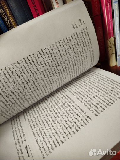 The passion of David Lynch