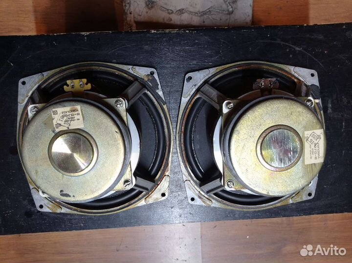 Нч динамики 30гд2-4ом S90
