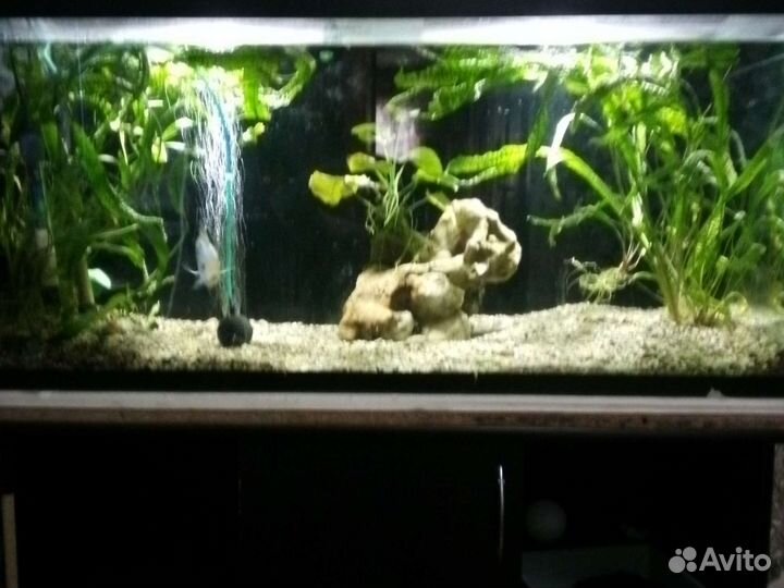 Аквариум