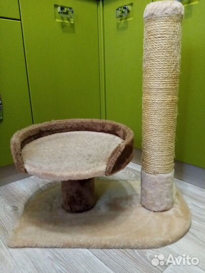 Когтеточка