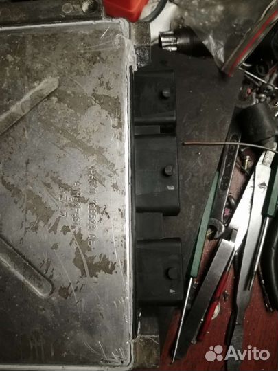 Эбу. Мозги. Пежо боксер