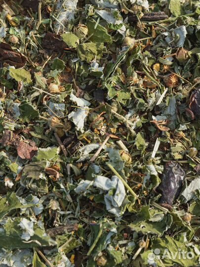 Горно алтайский чай