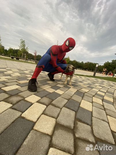 Костюм человек паук
