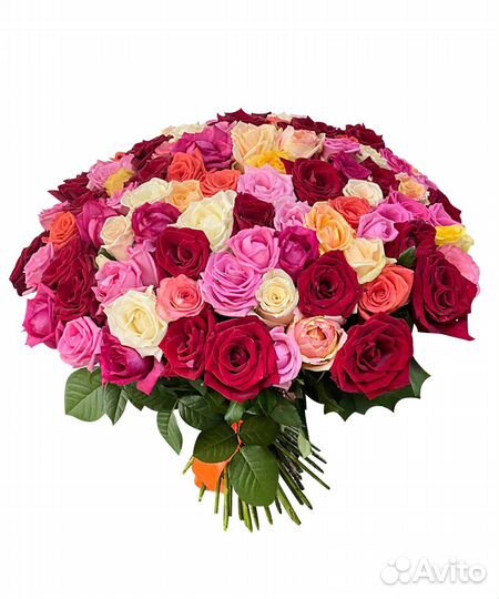 101 роза микс