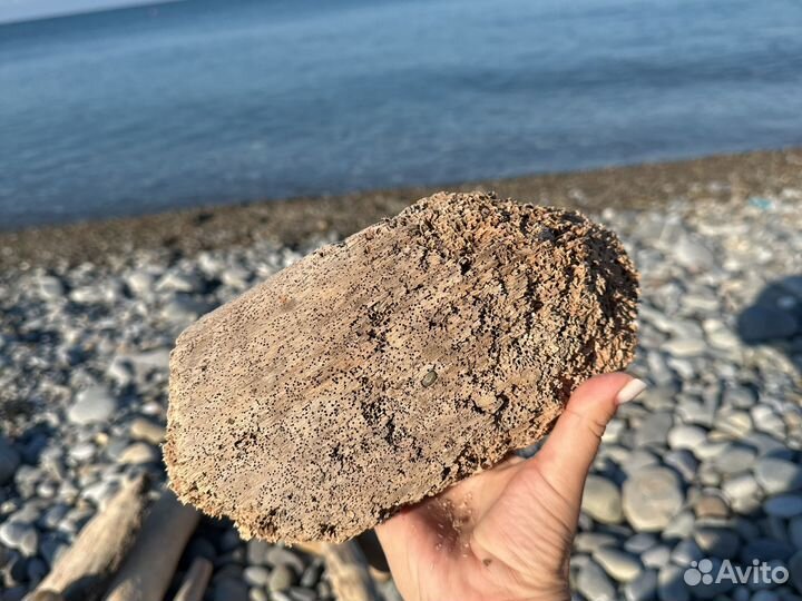 Реквизит для фото Коряга дрифтвуд