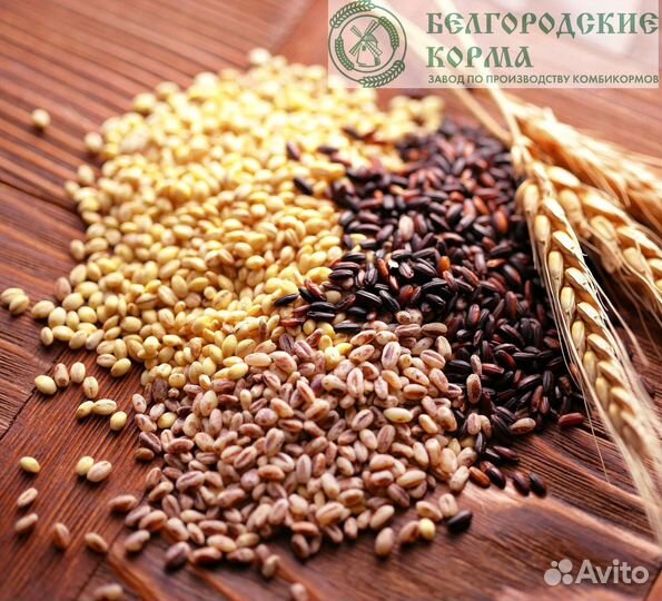 Комбикорм для водоплавающих