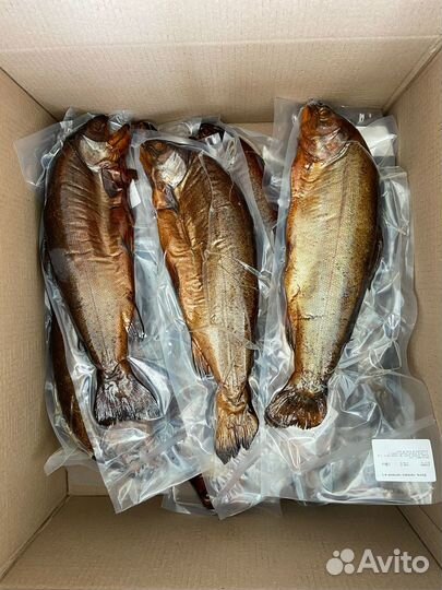 Форель горячего копчения