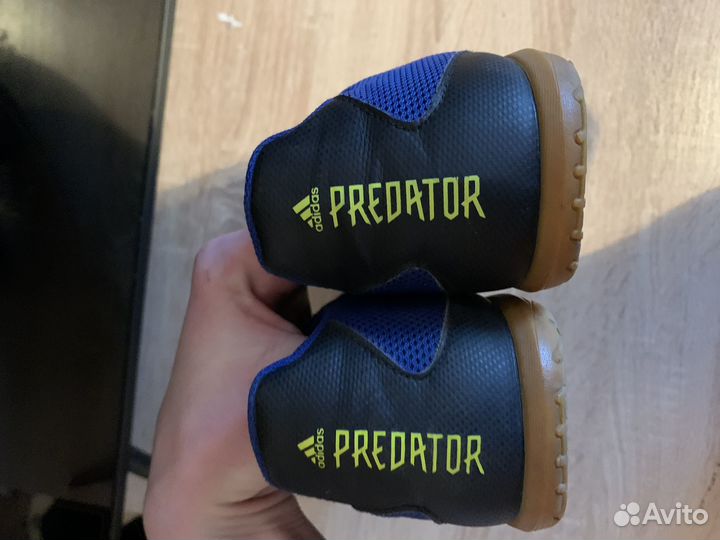 Футзалки adidas predator