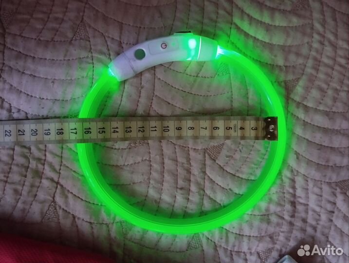 Майка для собак и ошейник