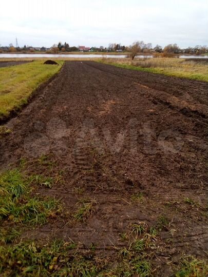 Участок 8 сот. (СНТ, ДНП)