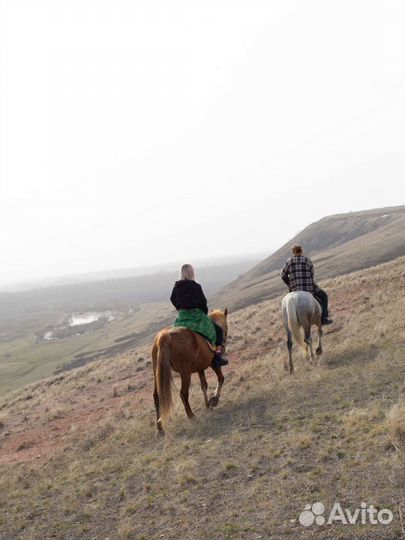Конные прогулки. Походы. Активные выходные