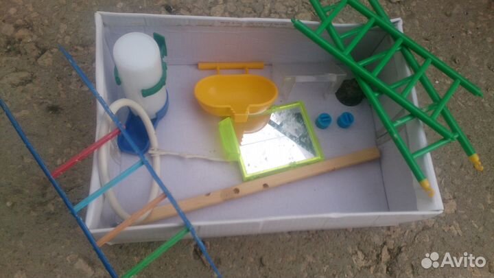 Товары для попугая