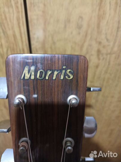 Акустическая гитара Morris MD-507
