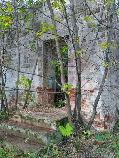 Дом 301,2 м² на участке 50 сот.