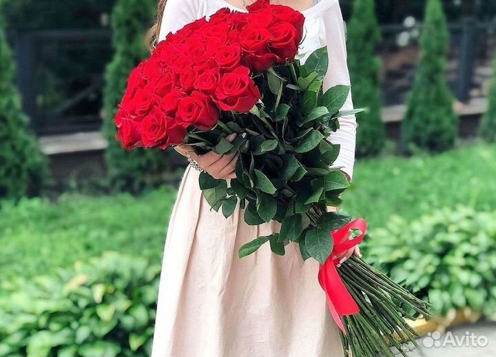 101 роза цветы букеты доставка 25 51 101 роза