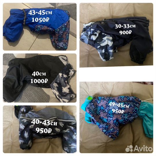 Одежда для собак