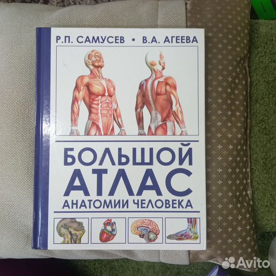 Большой Атлас анатомии человека. Р.П. Самусев