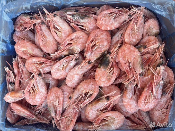 Лангустины креветки