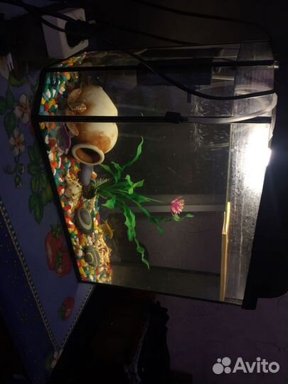 Аквариум с рыбками