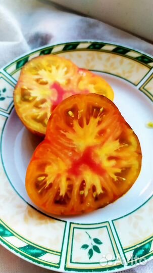 Семена коллекционных томатов