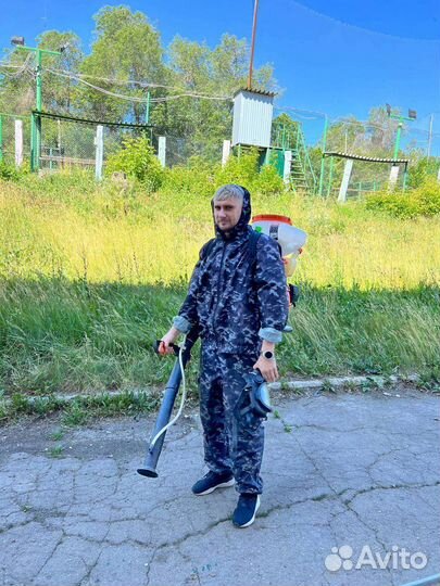 Уничтожение тараканов. Дезинфекция клопов, муравье