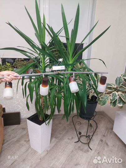 Люстра потолочная