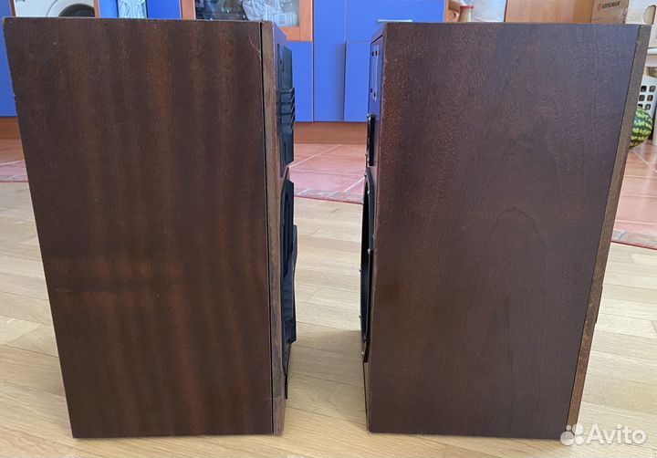 Колонки Электроника 35ас-130